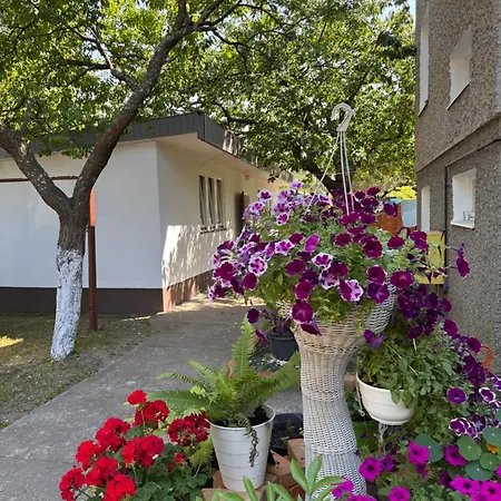 山林小屋 Ostrowo Rodzinne Wczasy *